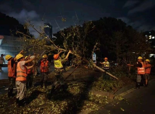 最强台风过境这群青年连夜扶树、种树、清理道路br已处理行道树倒伏7800余株中秋瀑布灯正常开启(图3)